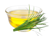 Herbal Extracts