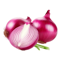 Onion Extract