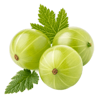 Amla